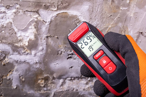 Office Mold Removal Services in Polk City, IA